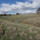 Illustration for article titled Collingrove Hillclimb. South Australia.